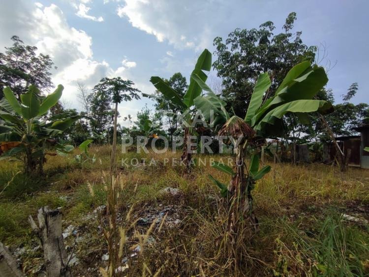 Dijual sebidang tanah lokasi tepi jalan Jl. Pramuka / Rumbai