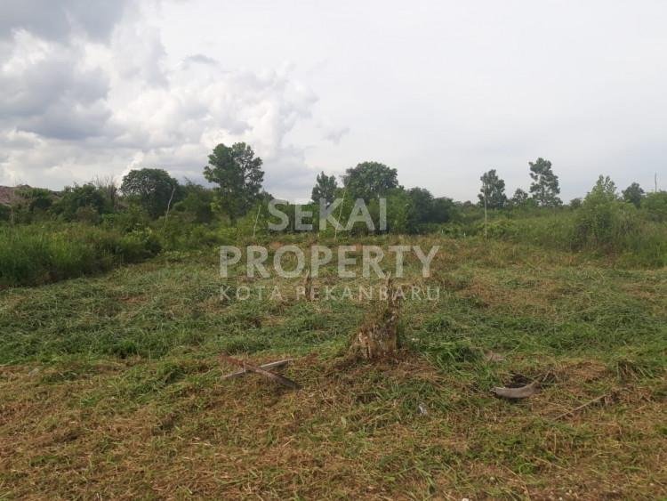 Dijual tanah di Rimbo Panjang - Kampar