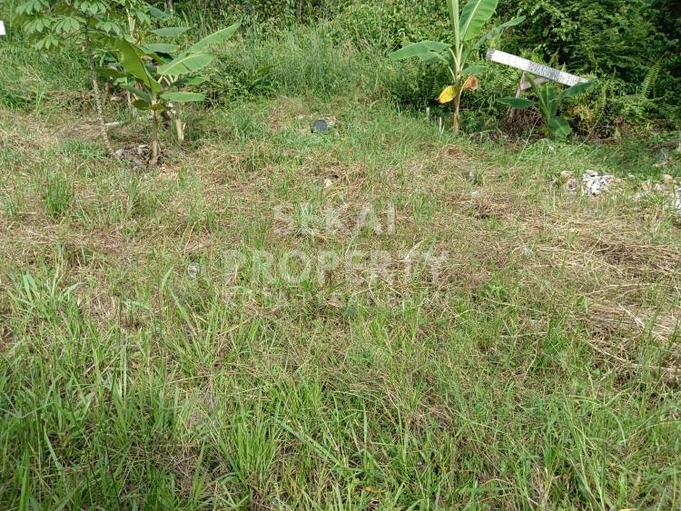 Dijual Murah Tanah lokasi Tengah Kota Jl. Dwi Tunggal/Arifin Ahmad Pekanbaru