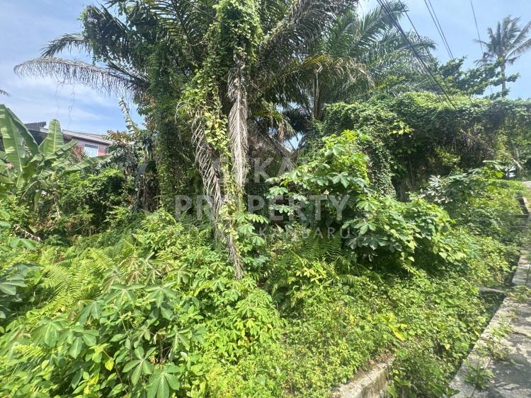 DIJUAL TANAH JL RONGGO WARSiTO iI