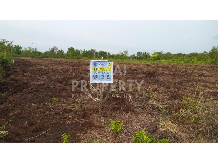 DIJUAL SEBIDANG TANAH LOKASI DI JL, SIDORUKUN UJUNG - PEKANBARU