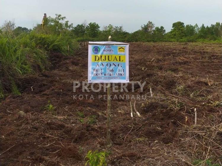 DIJUAL SEBIDANG TANAH LOKASI DI JL, SIDORUKUN UJUNG - PEKANBARU