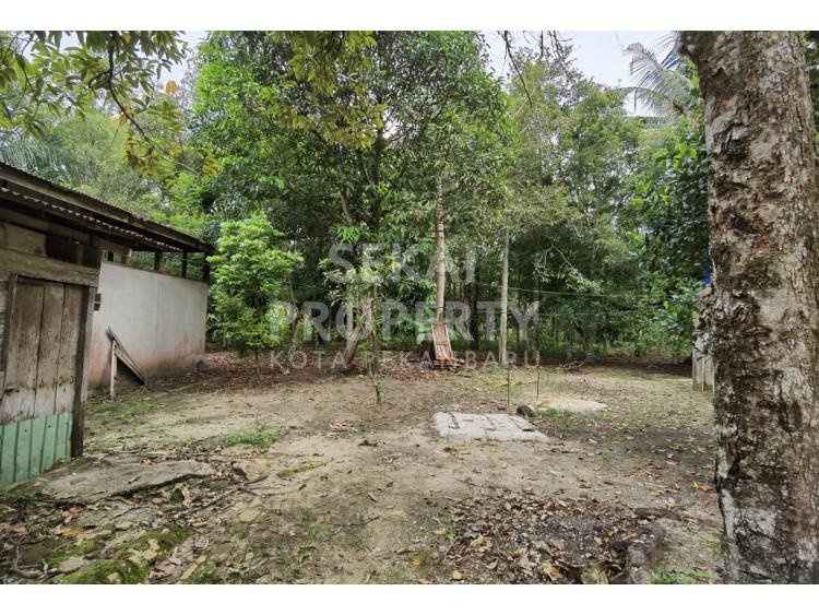 Dijual tanah di tepi jalan besar Pasir Putih