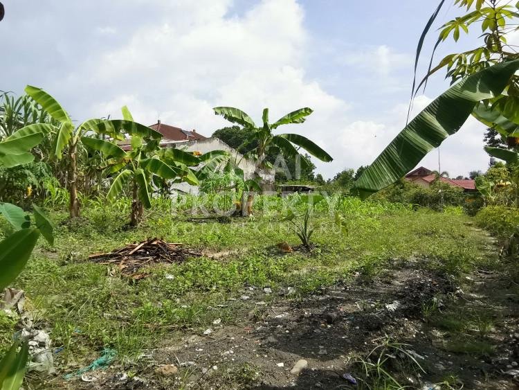 Lihat semua foto