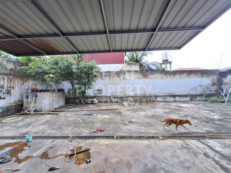 Lihat semua foto