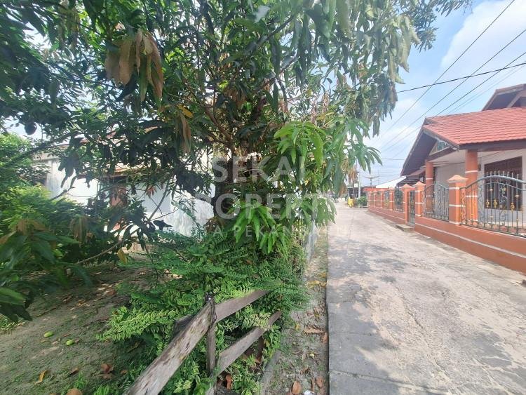 Lihat semua foto