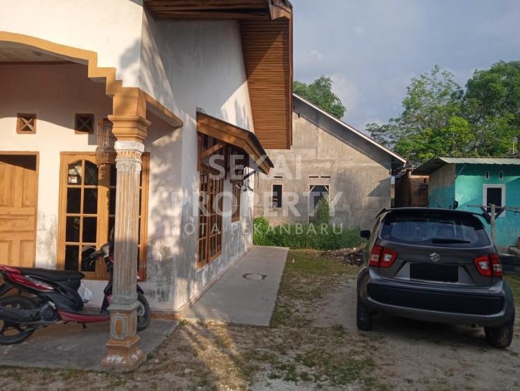 Lihat semua foto