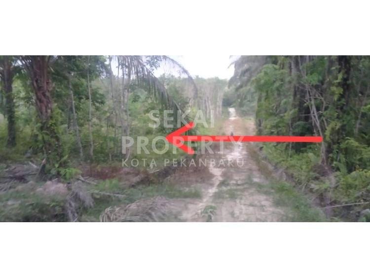 Dijual Tanah Di Jalan Gambir Ujung - Dumai