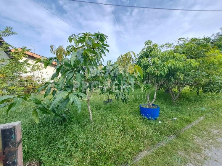 DIJUAL TANAH BONUS BANGUNAN LOKASI DALAM KOTA DEKAT JL.RIAU-PEKANBARU