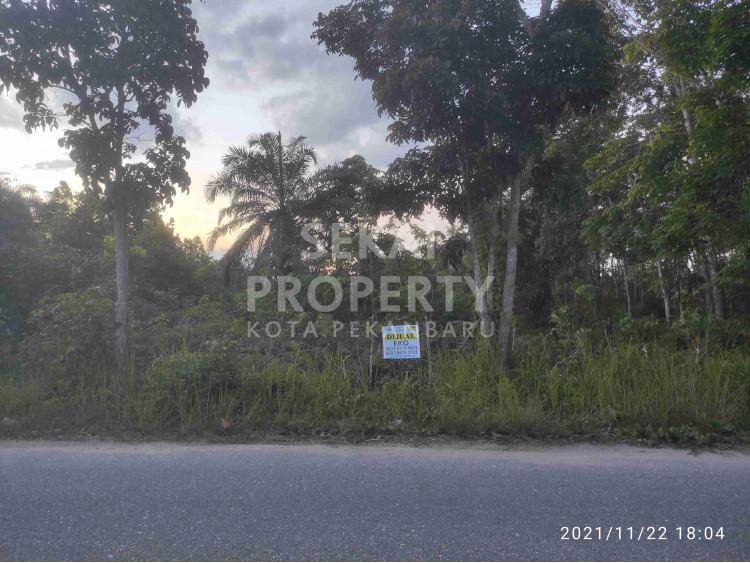 Dijual tanah di tepi jalan besar Jl. Seroja Lintas Timur