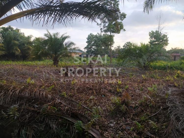 Dijual tanah murah di Jl. Ikhlas Ujung - Pekanbaru
