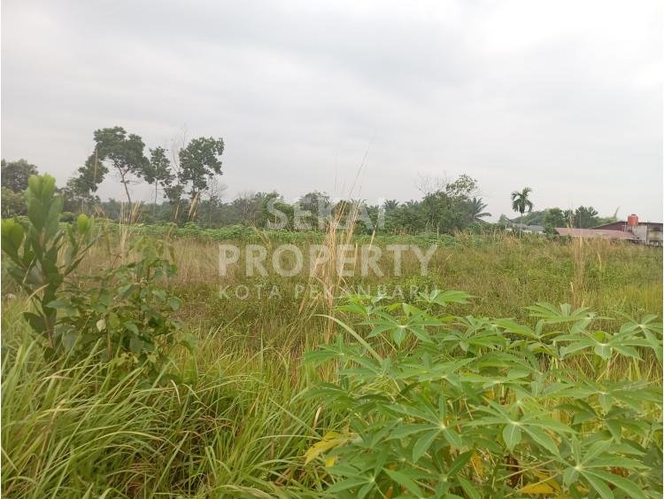 Dijual Tanah Kaplingan Keras, Jl Padat Karya-Kulim
