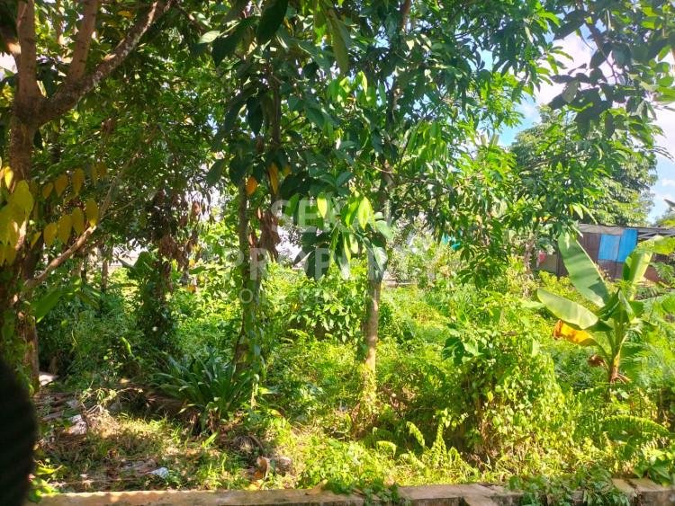 Di Jual Tanah DI Jalan Tanjung Datuk