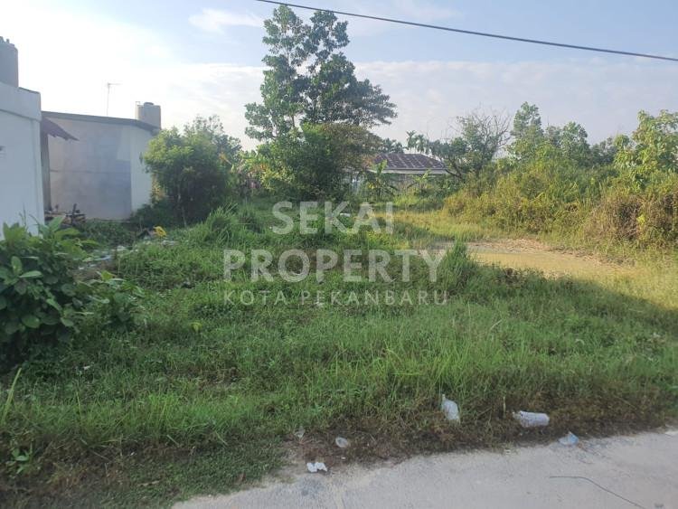 DIJUAL TANAH DI JL PEMUDA - PEKANBARU