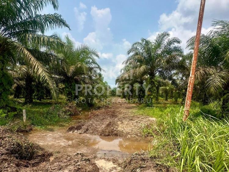 Foto 3