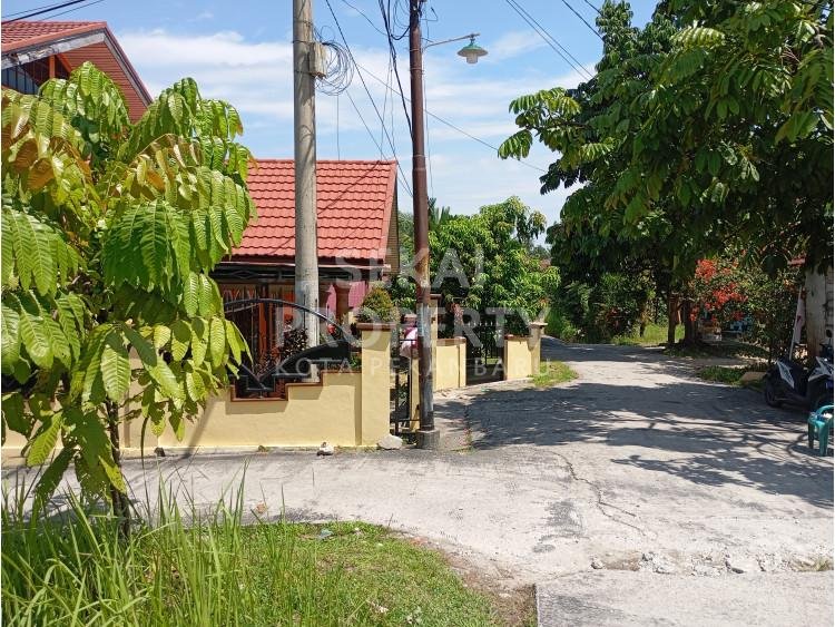 Lihat semua foto