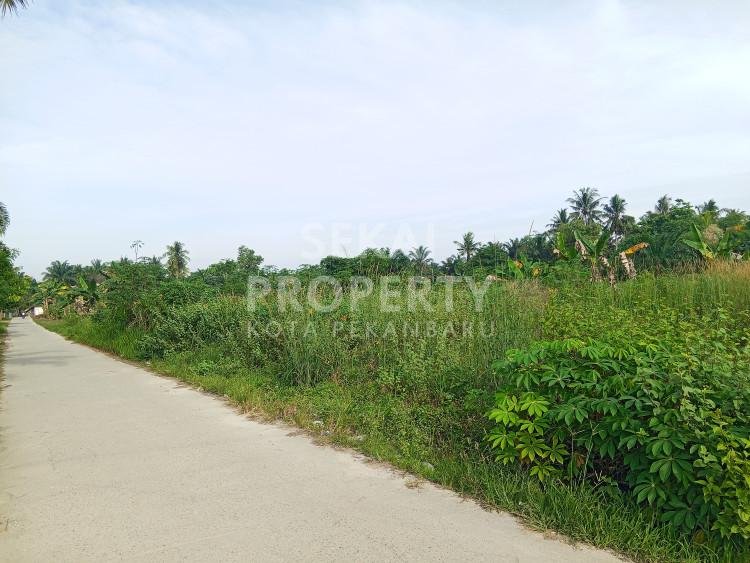 DIJUAL TANAH luas 10.589 m2   JL PADAT KARYA - PALAS - SIAK 2 - RUMBAI