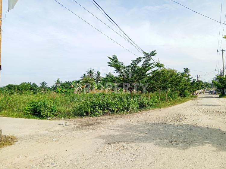 DIJUAL TANAH luas 10.589 m2   JL PADAT KARYA - PALAS - SIAK 2 - RUMBAI