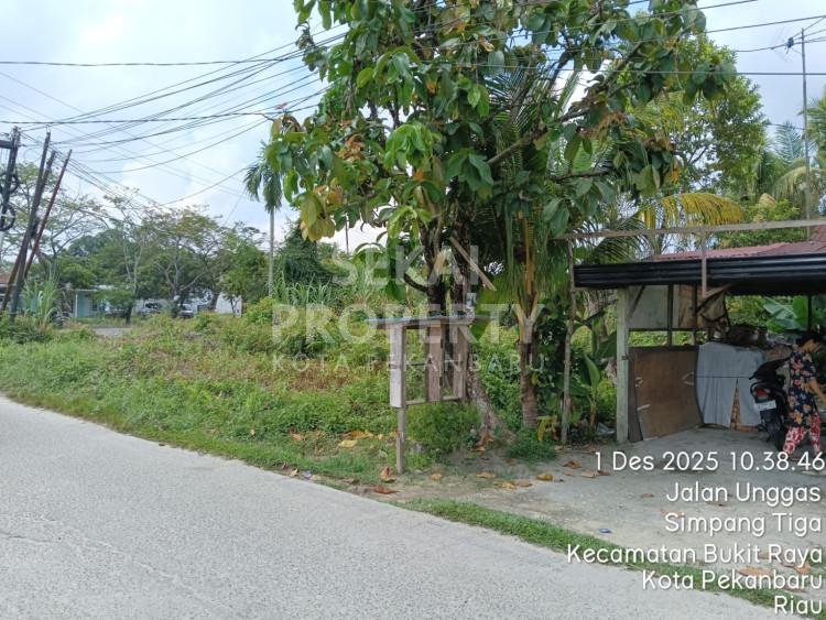 DIJUAL TANAH KOSONG JL UNGGAS UJUNG