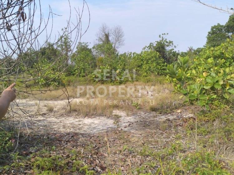 DIJUAL SEBIDANG TANAH LUAS LOKASI DEKAT PANGKALAN KERINCI/PALALAWAN