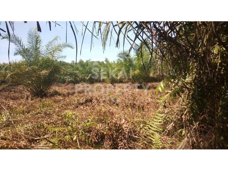 Dijual tanah kapling tengah kota di Jl. Tuanku Tambusai - Pekanbaru