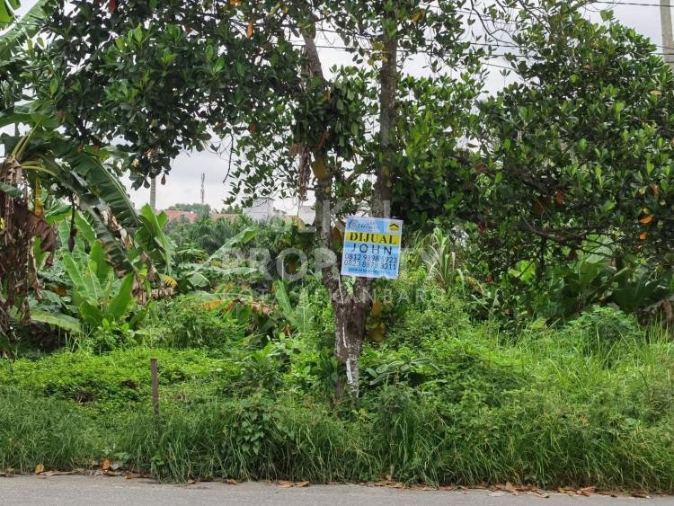 Dijual Tanah Strategis Tepi Jalan Satria