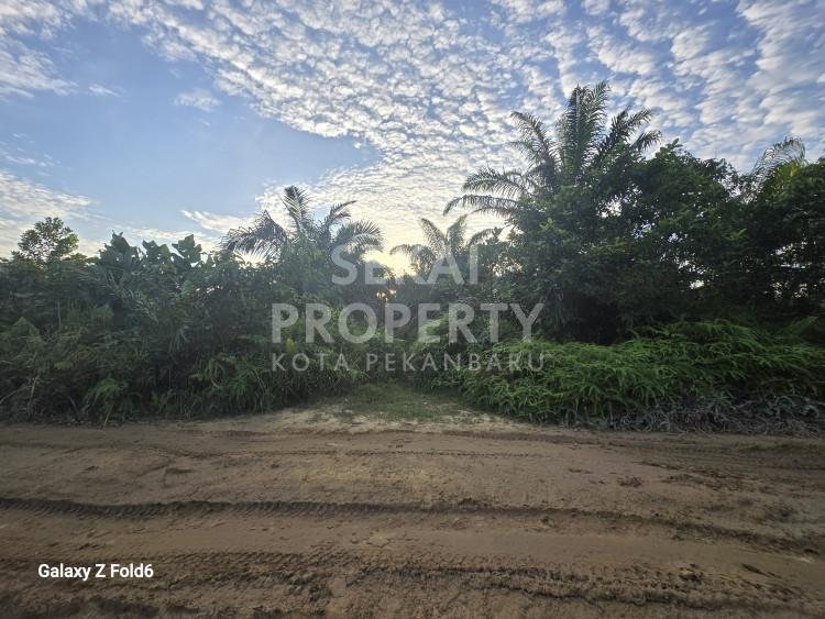 DIJUAL SEBIDANG TANAH LOKASI JL.PEMBANGUNAN - PASIR PUTIH