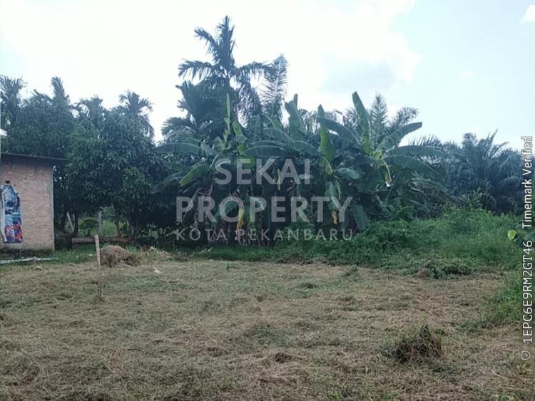DIJUAL TANAH KOSONG JL.KAYANGAN - RUMBAI