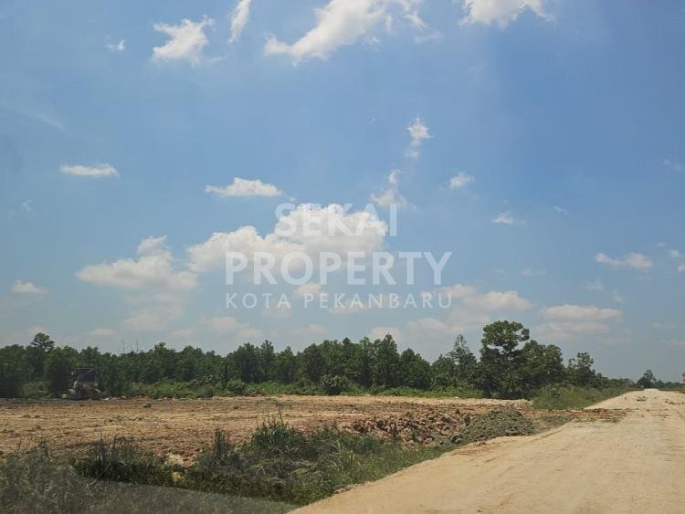 Dijual Tanah Luas Daerah Palas