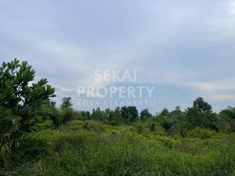 Di Jual Sebidang Tanah lokasi Jalan Riau Ujung dekat bundaran tengah kota Pekanbaru