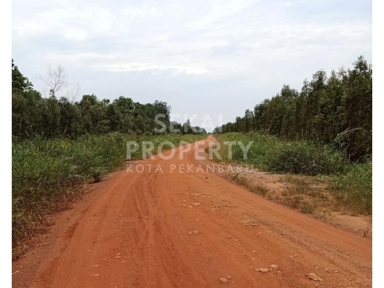 DIJUAL LAHAN SAWIT  MEDANG KAMPAI DUMAI