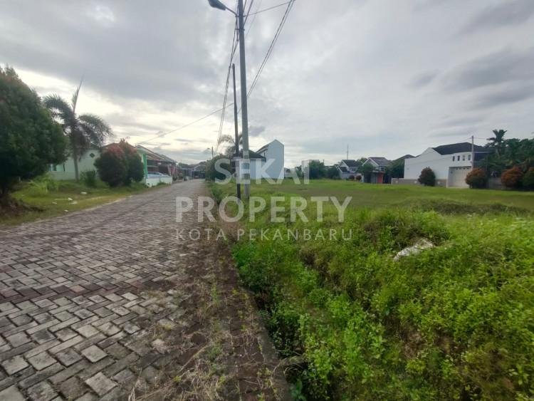 Lihat semua foto