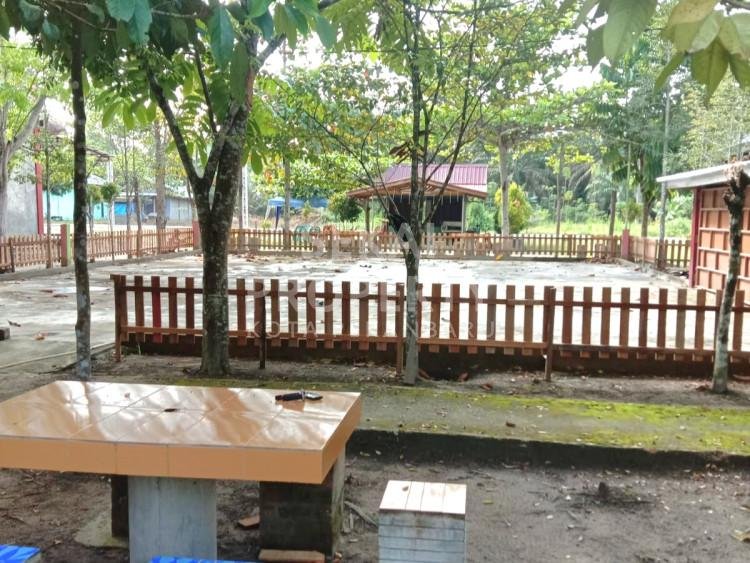 Foto 6