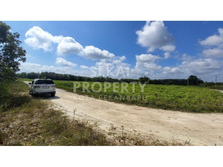 Dijual tanah daerah kerinci