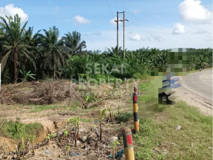 Dijual Tanah Di Tepi Jalan Lintas Dumai - Duri