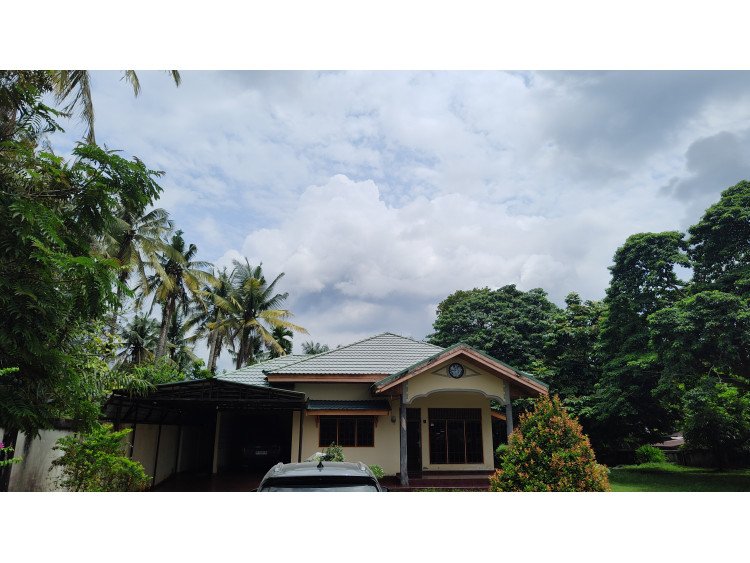 Di Jual Rumah Bulatan Di Jl.Padat Karya Rumbai
