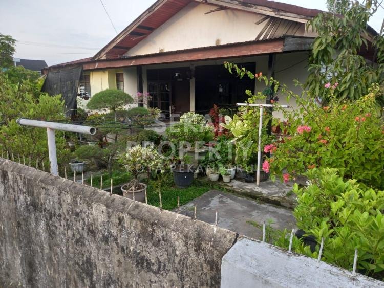 DIJUAL RUMAH DI JALAN HARAPAN RUMBAI - PEKANBARU