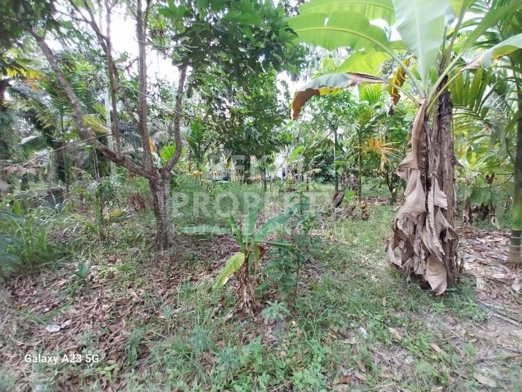 DI JUAL TANAH JL SIAK 2 / PALAS PEKANBARU
