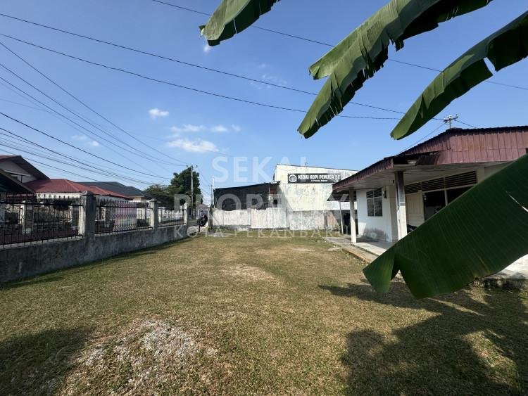 Lihat semua foto