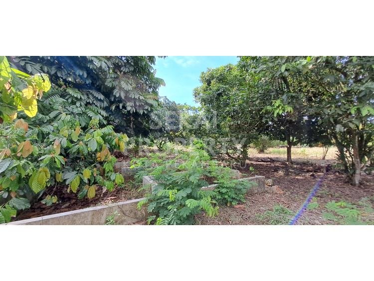 Dijual tanah lokasi Harapan raya tengah kota Pekanbaru