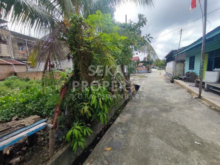 Lihat semua foto