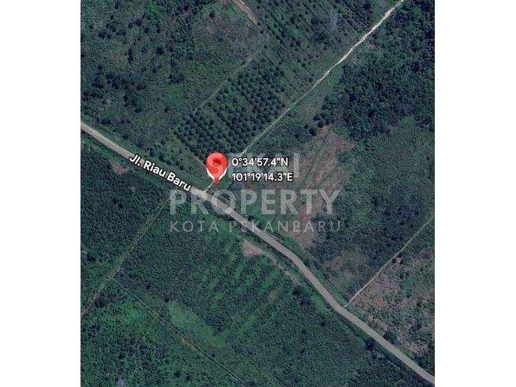 DIJUAL KEBUN SAWIT  JL GARUDA SAKTI