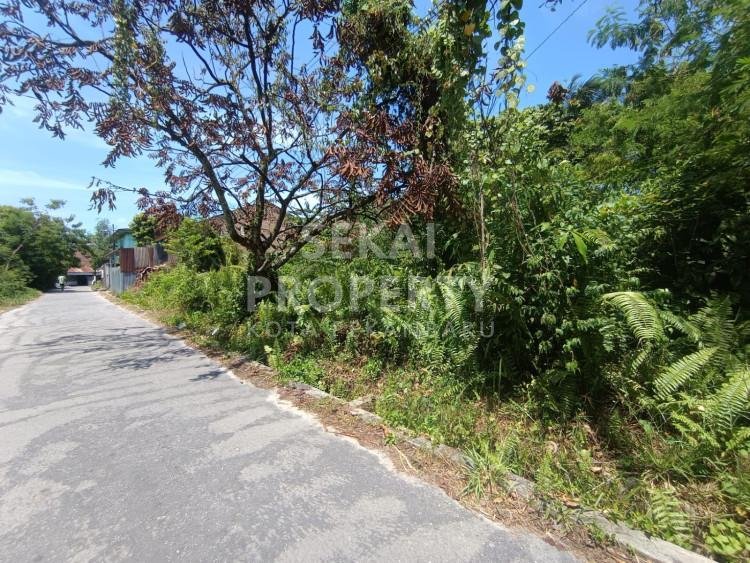 DI JUAL SEBIDANG TANAH JL KAPAU SARI