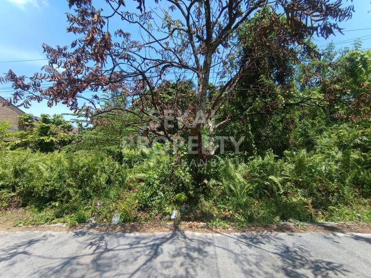 DI JUAL SEBIDANG TANAH JL KAPAU SARI