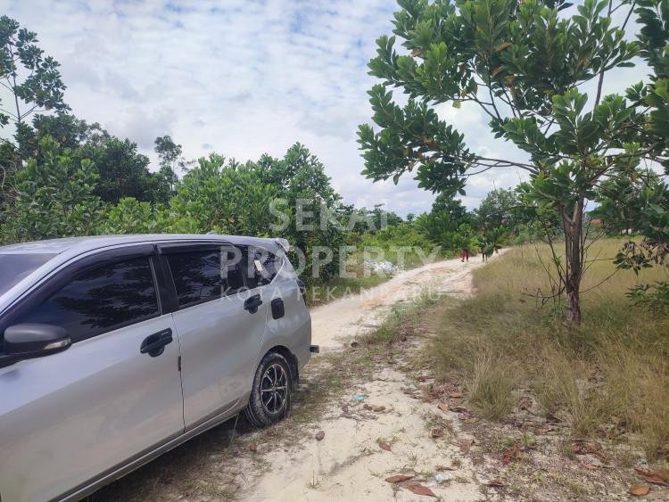 Lihat semua foto