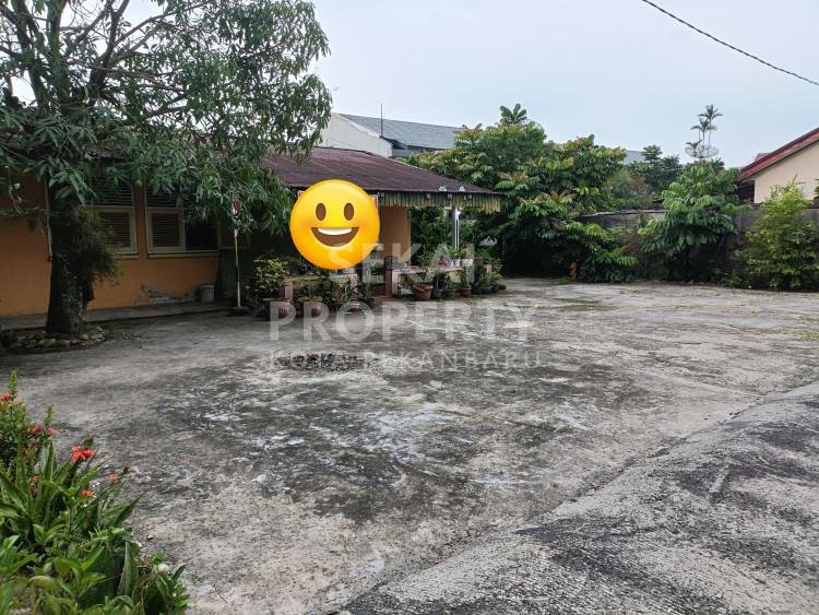 Lihat semua foto