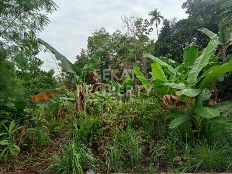 Dijual Sebidanh Tanah Lokasi Jalan Suka Karya Panam