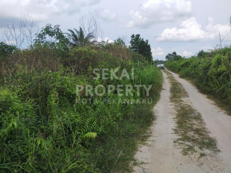 Dijual Tanah di Riau Baru / Tapung - Pekanbaru
