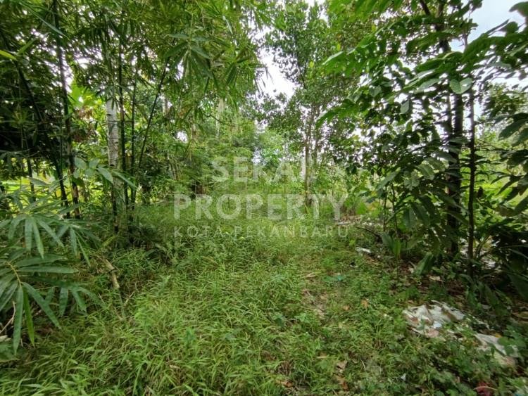 DI JUAL TANAH  JL  SEGAR /  HANGTUAH