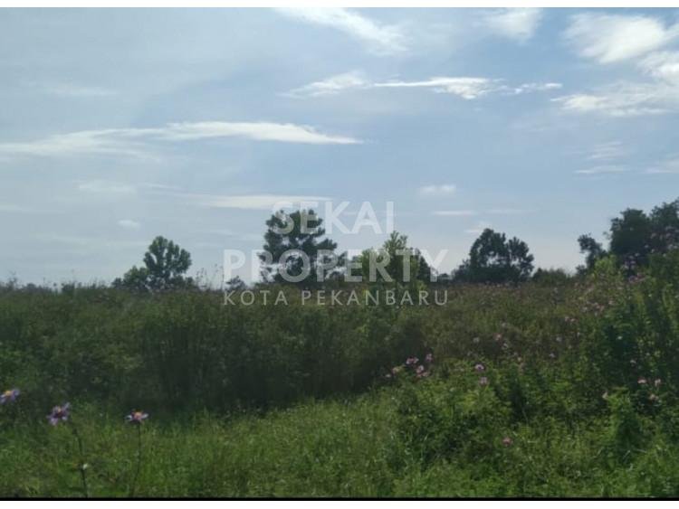 Dijual Tanah murah, keras dan di tengah kota di Jl Riau Baru - Pekanbaru